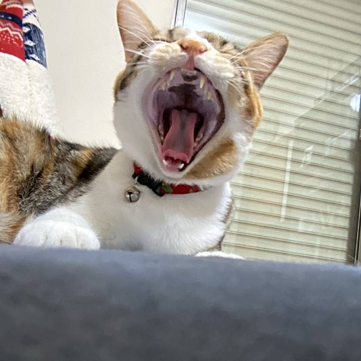 Bf601bc3 2acf 4d52 bfaf 83b11c8fa658 1667508237866