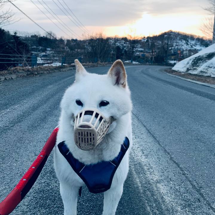 Bf6028d7 d272 4722 99fc e9f11618f9e2 1648589718703