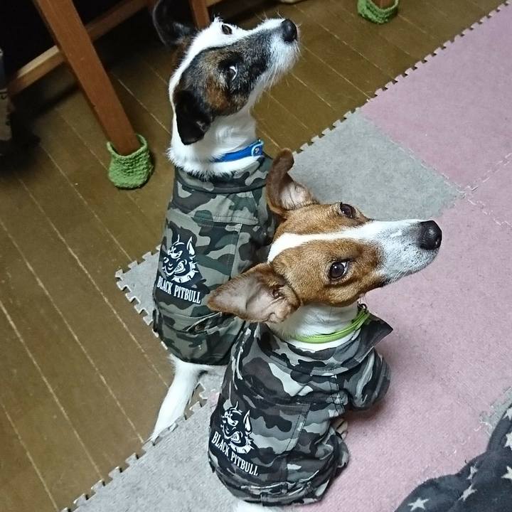 Bf603920 fd3e 407d 9d6b 463f4c25157b 1547460113319