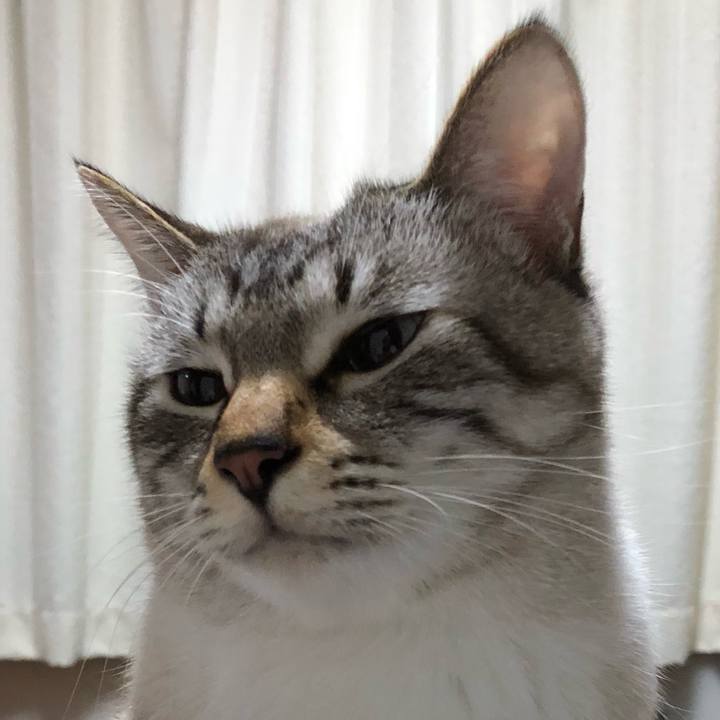 Bf605c72 c2c2 4cb9 b440 5ec25906fdf7 1638187528787