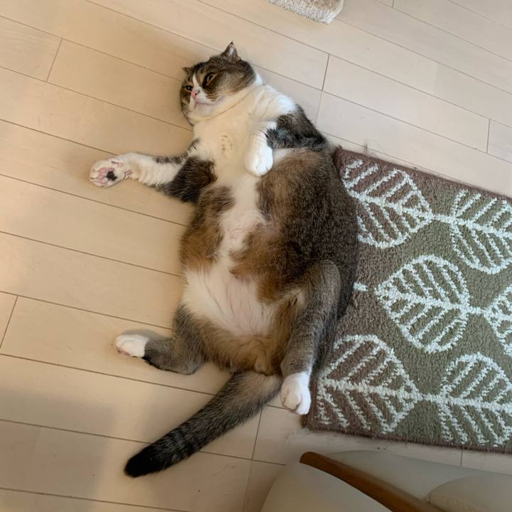 Bf60b517 ff87 449a 9457 93026383580c 1615679158886