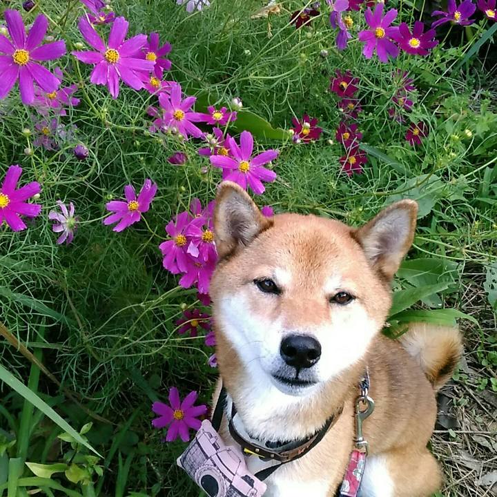 Bf60bdc6 a616 496c b706 acbfc2999135 1569828691251