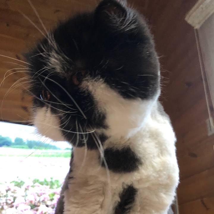 Bf60de45 205d 4fb9 9456 06dcd5c42a2c 1595149270815