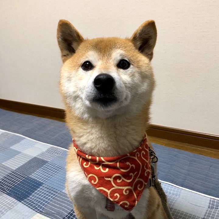 Bf611b88 29f3 419c 9978 4e31e5e0e29b 1559386498847