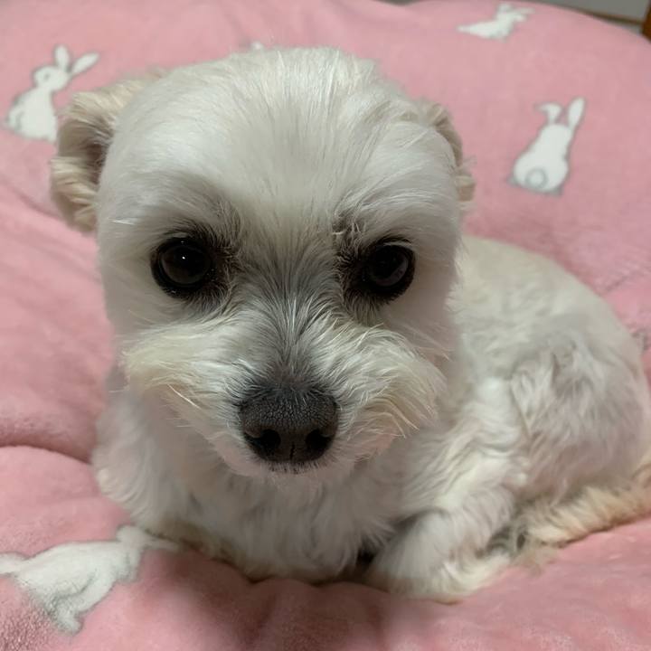 Bf614c26 bd6d 4642 b3a7 3185fc10a8c8 1614076914932