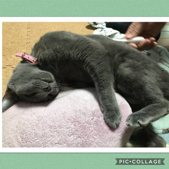 Bf617bb7 e701 4f79 84e5 2bd2727ce3fb 1515414837561