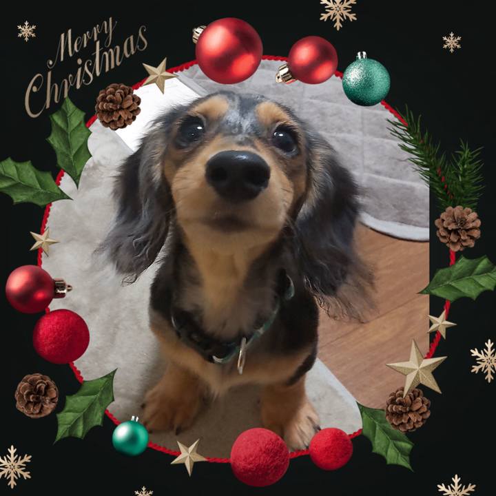 Bf619bc9 bffe 44b9 9aa3 3240a83ad868 1703417422727