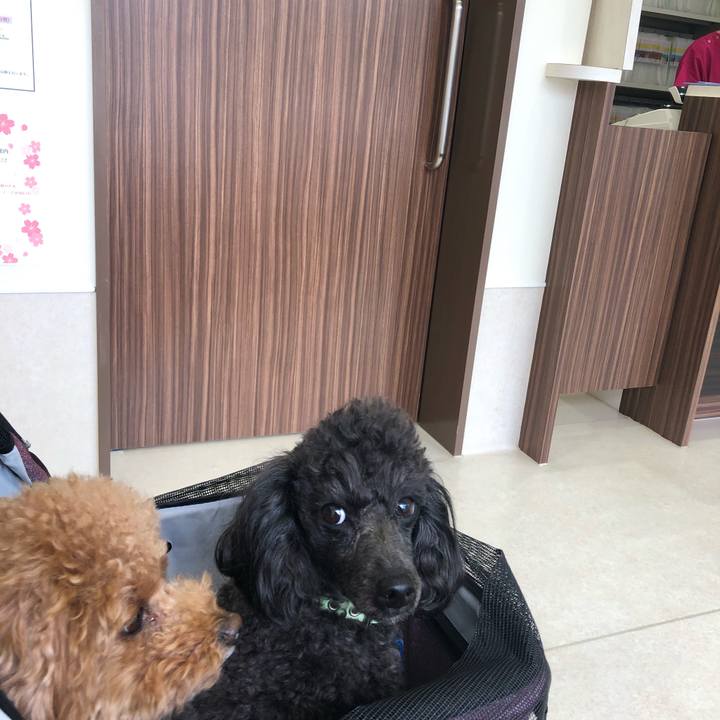 Bf619d10 3f7f 42ac ba80 0202dce3c9a2 1587097200136