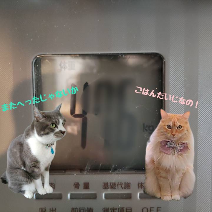 Bf61b3e4 5fe3 4afe 86f6 85cd88222cc5 1717834788505