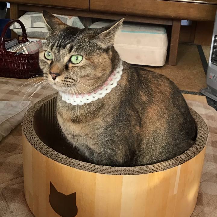 Bf61e047 fc71 4a17 9b83 9afbc03301d9 1740743281265