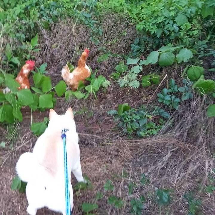 Bf621411 1631 49bb a2e6 aab39e0450ea 1718197225182