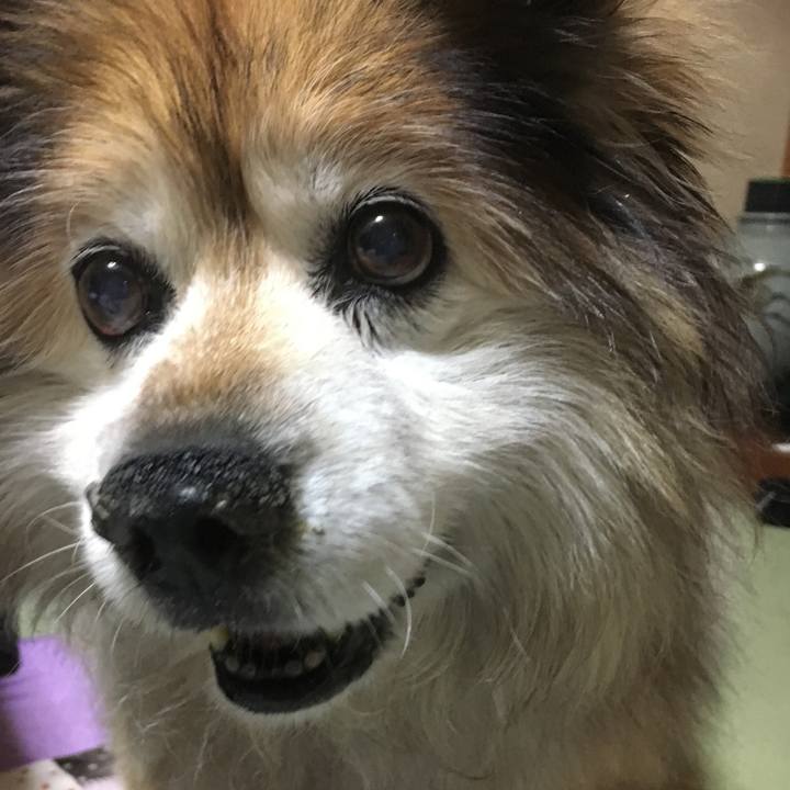 Bf6253c9 4556 445d 9f2c 7a8539119c22 1575435913494