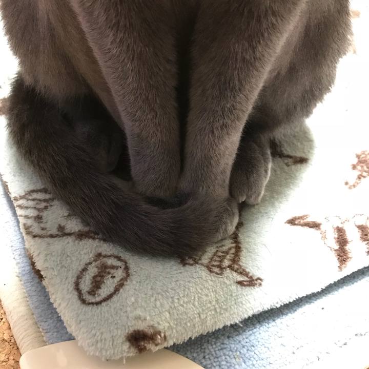 Bf628873 381a 43c1 9198 eb890576372e 1514504117302