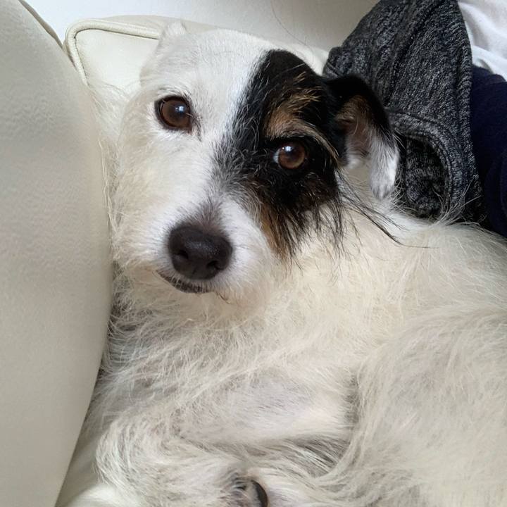 Bf628925 f8a4 47ca adce 235d2984ce3c 1665018441627