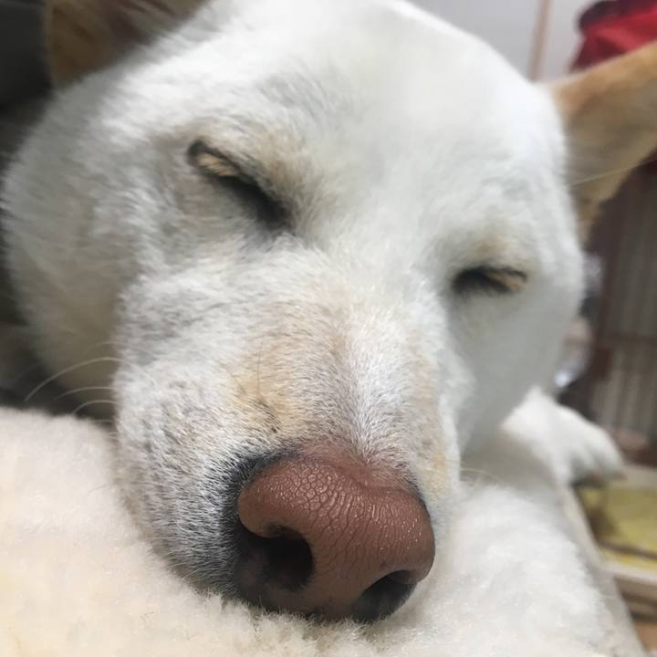 Bf628ebd 296c 4c08 8b69 179d7359c8e4 1523691780908