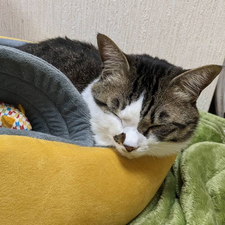 Bf6297cc 32bd 4bec b21b 3cbe279e30f3 1681274033935