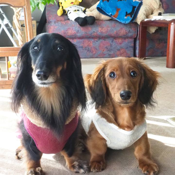 Bf62adbc ee4f 4616 848b 918ca5b22a90 1699941461740