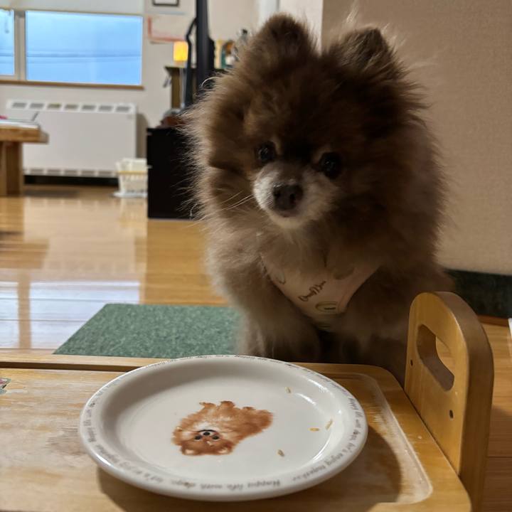 Bf62c2ef 1a7d 45e4 b937 d50d7c44e441 1766954662887