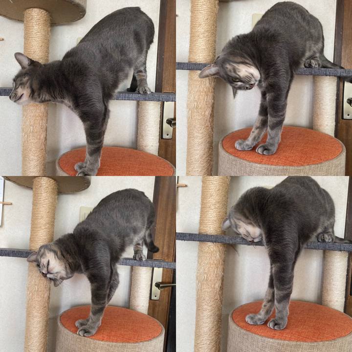 Bf62c5dc 1430 4377 b4b8 82ae2af84898 1610159470255