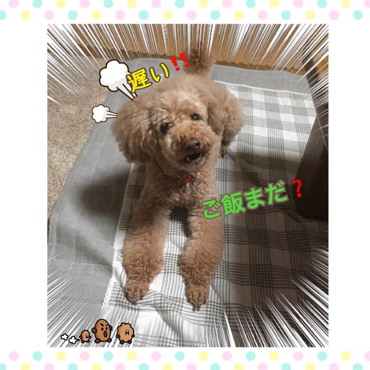 Bf62d291 e161 44e9 bccd 1c8b0a52b2b1 1527335515075