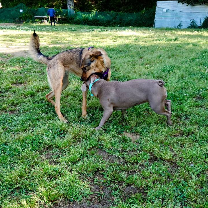 Bf62d4d4 649b 43bc 8840 b9465af040ee 1714284345356