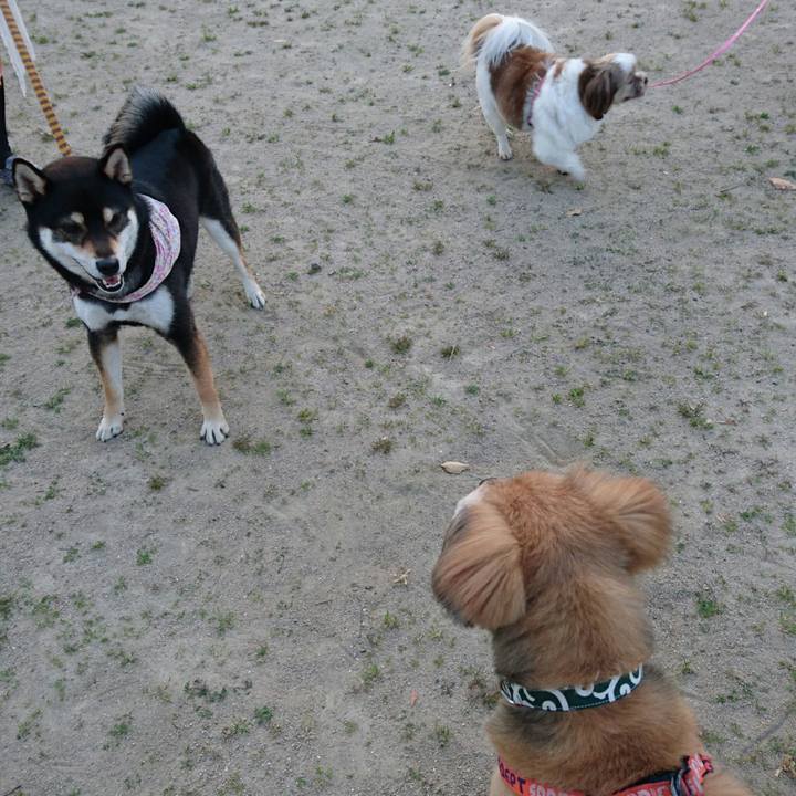 Bf62ee7e 8ee3 483d 819b efd644ad0747 1522750571263