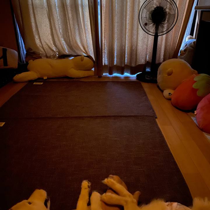 Bf6316b0 e788 46c0 b3af 1dd472f4766b 1666213045638