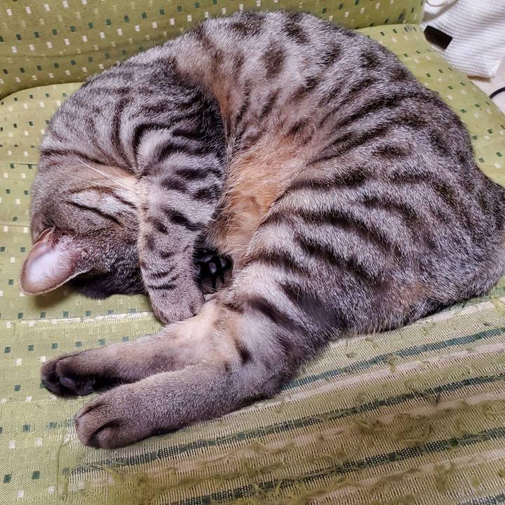 Bf633456 3ce4 452f a278 a081d2fd15b5 1710594518274