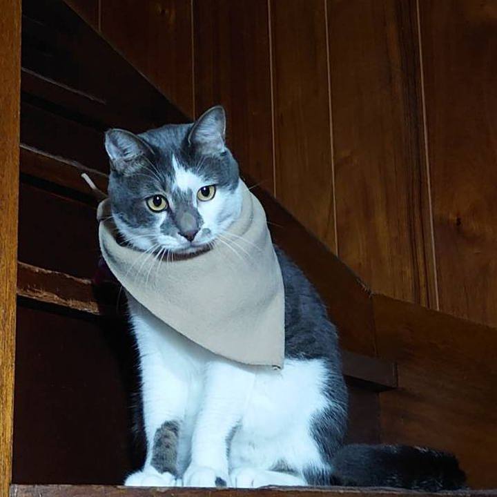 Bf6391c4 405a 4620 9ef4 1a7aacd1a804 1732859342037