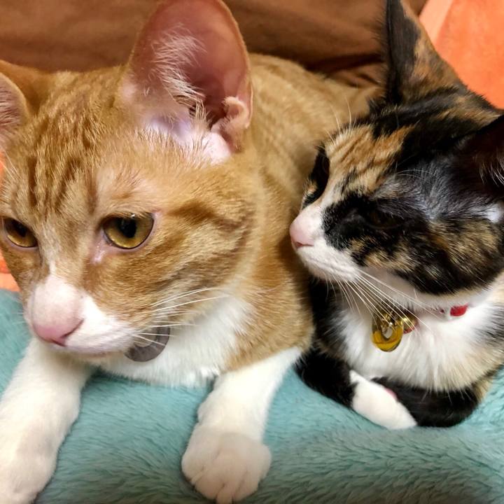 Bf63be4c fbd3 48fa 8095 ea6e335a38a6 1549279131696