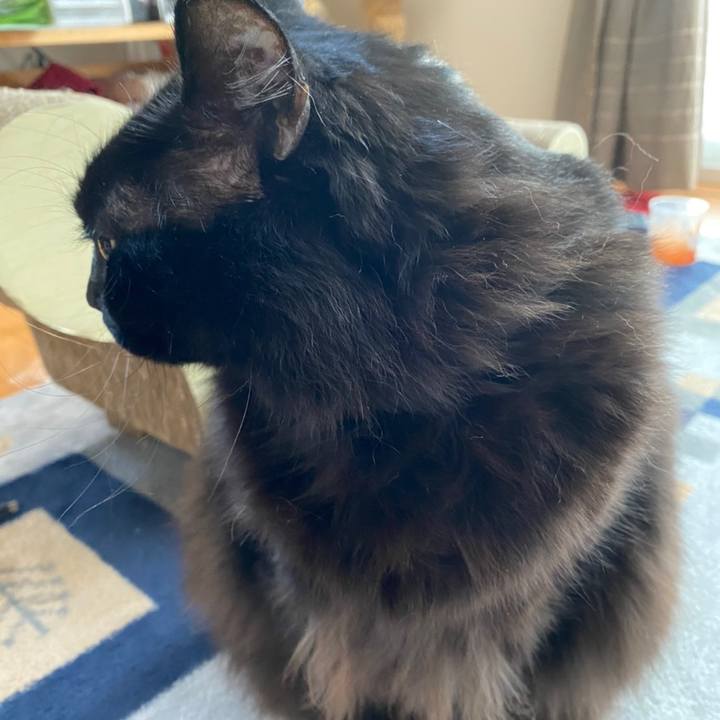 Bf63f3c1 8bdb 4fc2 a6c2 853165e57471 1608268412999