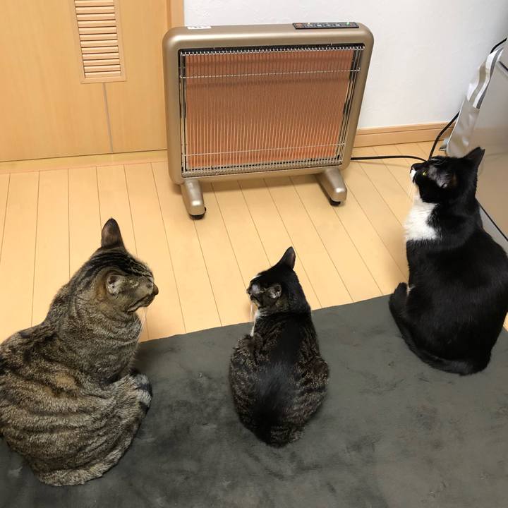 Bf6404ed df75 4bb6 bbd5 c2b3bdce145c 1544848016300