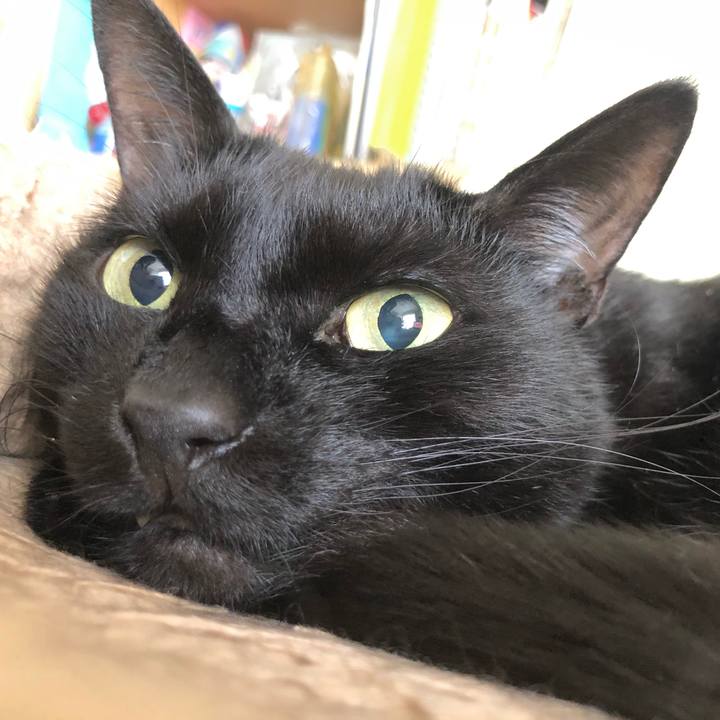 Bf640515 f7cf 4870 b1b3 fffac0ae7c1f 1620015543433