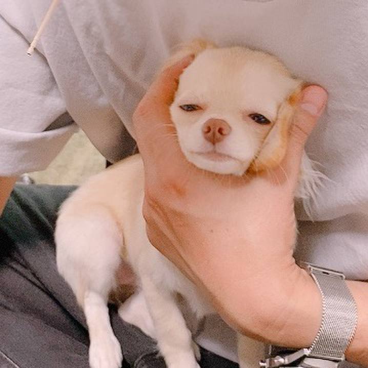 Bf640cc4 5fec 4b08 974e 76d3313b8bc4 1599886372947