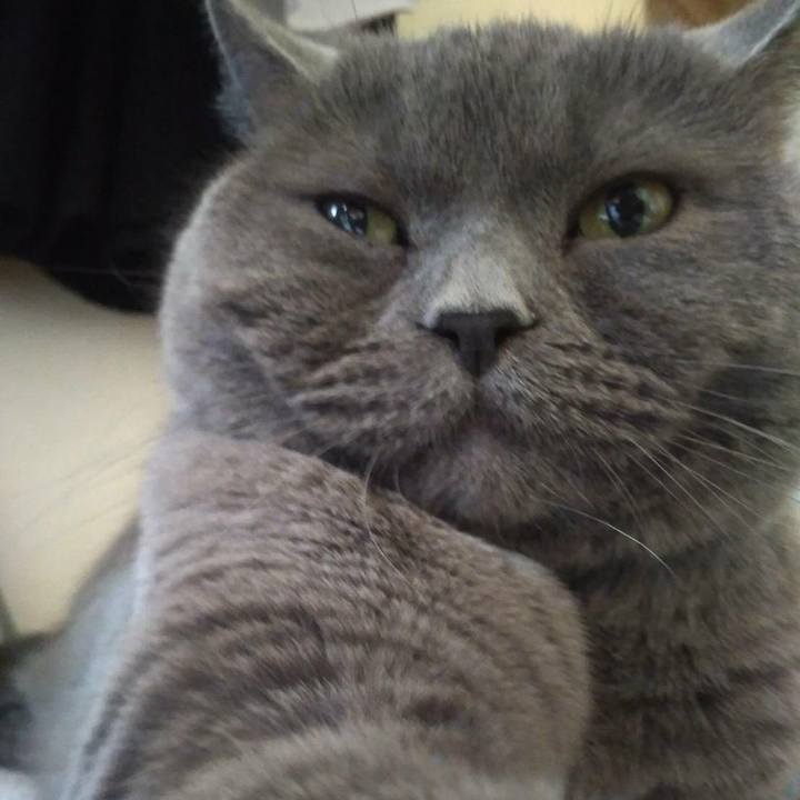 Bf6427a8 779a 4824 8cb6 dfb18ce55a25 1592366185369