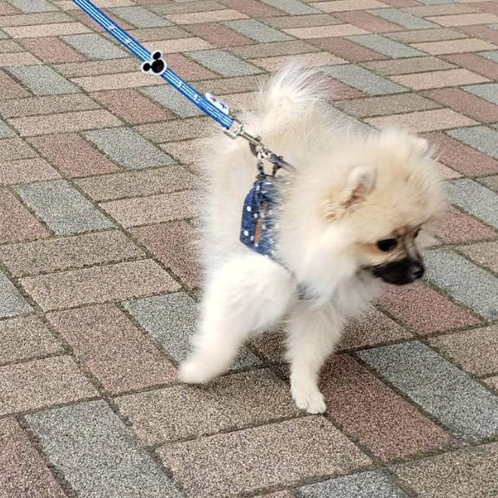 Bf644d12 a8ef 4c24 b415 1516ba8bb2d7 1613426316736