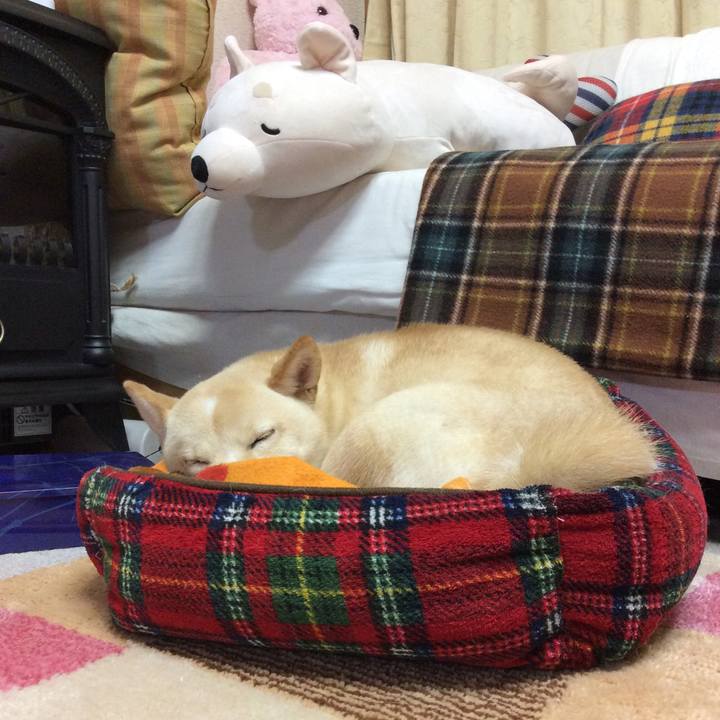 Bf644e0e 3e33 4a08 95e6 58023fdfdfd3 1510834535062