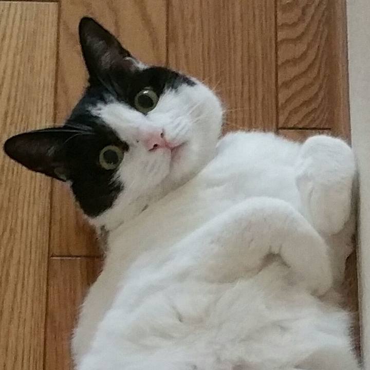 Bf645493 e477 48b6 b786 b05a69696385 1563609144805