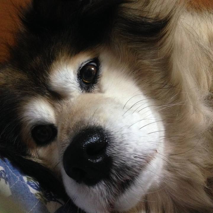 Bf64644f 0017 4701 9295 c7cce254d01a 1594471046398