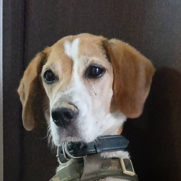 Bf648ff1 afb8 4cae 996e 142d1f6f1c2f 1731316500741