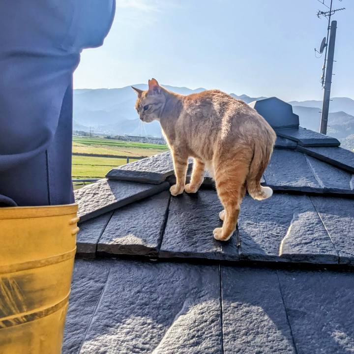 Bf64a0fd 6399 4b12 8b4b d167de6b2ff3 1773758488278