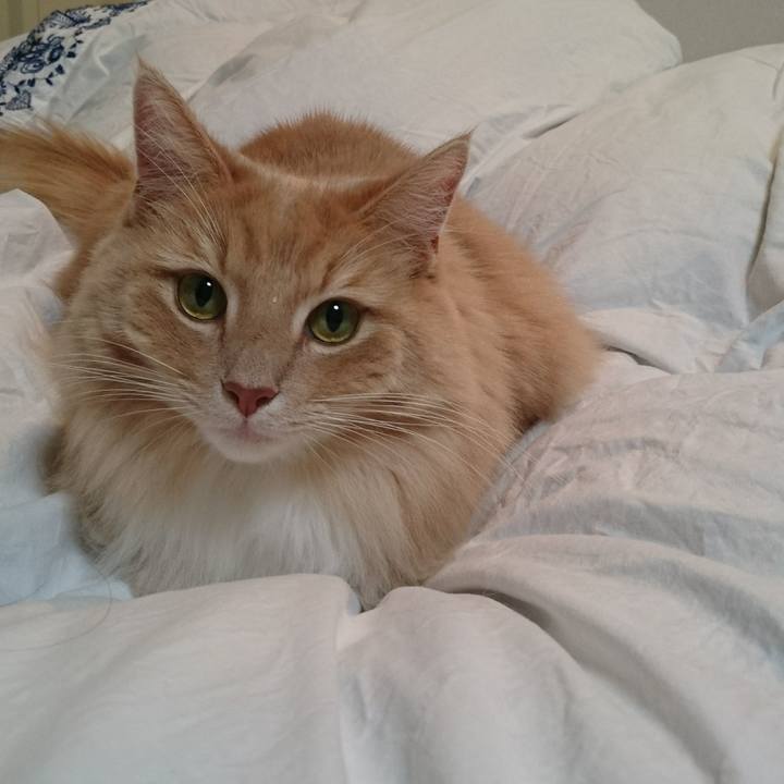 Bf64b8bb 7af4 4516 91b5 a2244010818b 1512530334820