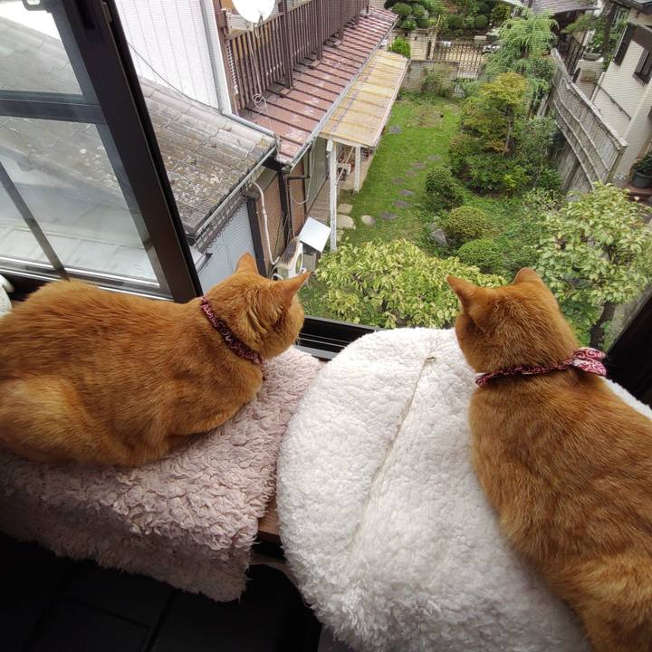 Bf64d30c d77f 424f a74f 852fec7dbfae 1631076214583