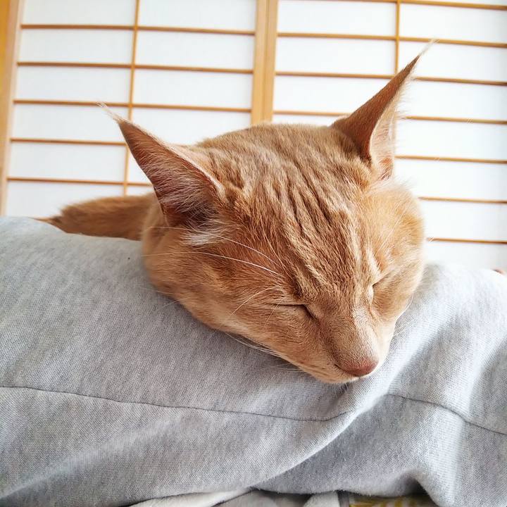 Bf64d63a bc5a 4fe5 ab5a 2ffc2cffb75c 1620519821009