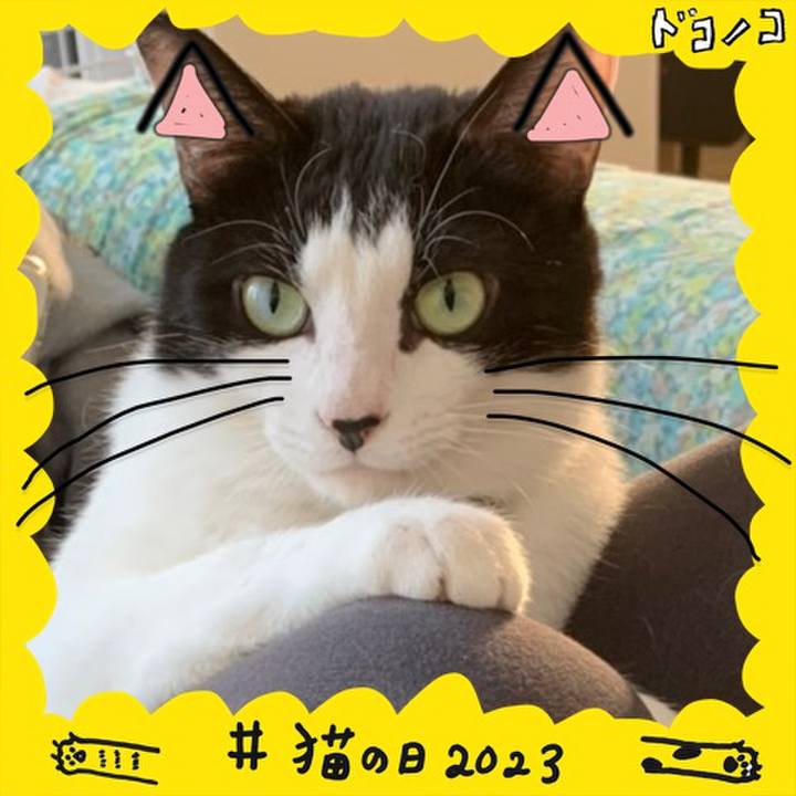 Bf64fe68 b8e9 4303 bd6a 644c44e87d6a 1677021676521