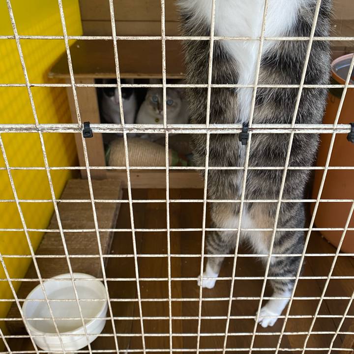 Bf654070 b62f 43cc 9098 566c152a3a64 1653619338112