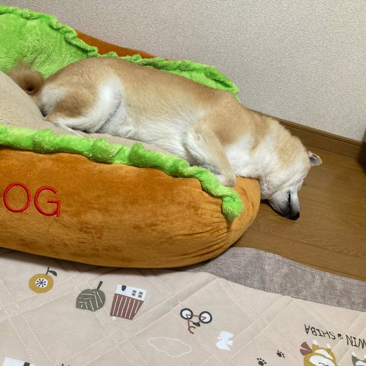 Bf65ad14 57c2 4785 ad12 4db88a77318d 1621664623791