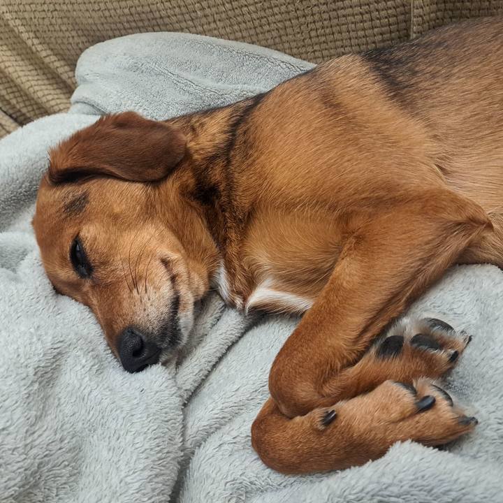 Bf65d6d4 d5dc 466f 87b0 b205456f81fd 1774010419630