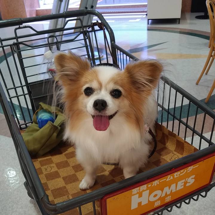 Bf65f82d b0e3 4c07 a41c cb0fb1abb8b4 1534135574287