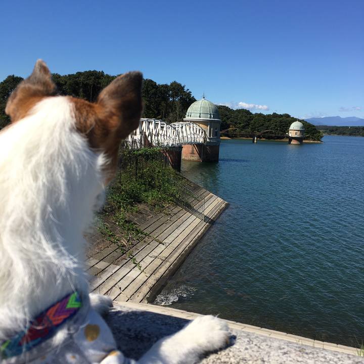 Bf660976 cfe8 4c24 88af 1a9a87d1b6a6 1632097270470